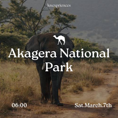 Akagera National Park Safari : 7th March 
