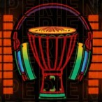 The Afro-Pulse Experience